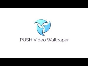PUSH Video Wallpaper Crack